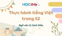Thực hành tiếng Việt trang 52