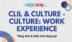 CLIL & Culture - Culture: Work experience