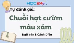 Tự đánh giá: Chuỗi hạt cườm màu xám