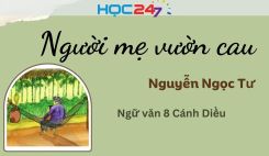 Người mẹ vườn cau - Nguyễn Ngọc Tư