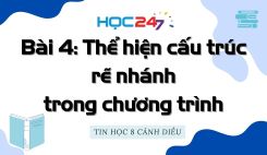 Bài 4: Thể hiện cấu trúc rẽ nhánh trong chương trình