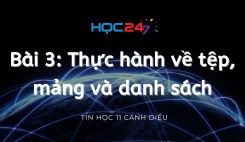 Bài 3: Thực hành về tệp, mảng và danh sách