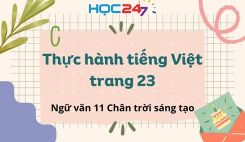 Thực hành tiếng Việt trang 23