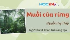 Muối của rừng - Nguyễn Huy Thiệp