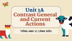 Unit 1A - Contrast General and Current Actions