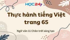 Thực hành tiếng Việt trang 65