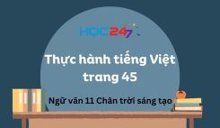 Thực hành tiếng Việt trang 45