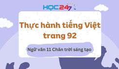 Thực hành tiếng Việt trang 92