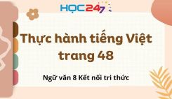 Thực hành tiếng Việt trang 48