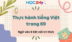 Thực hành tiếng Việt trang 69