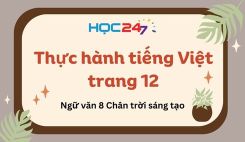 Thực hành tiếng Việt trang 12