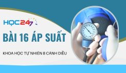 Bài 16: Áp suất