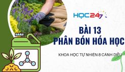 Bài 13: Phân bón hóa học