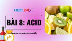 Bài 8: Acid