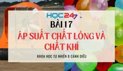 Bài 17. Áp suất chất lỏng và chất khí