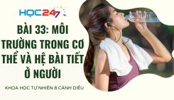 Bài 33: Môi trường trong cơ thể và hệ bài tiết ở người