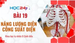 Bài 30: Máu và hệ tuần hoàn ở người