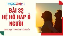 Bài 32: Hệ hô hấp ở người