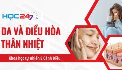 Bài 36: Da và điều hòa thân nhiệt ở người