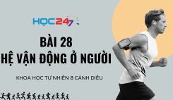 Bài 28: Hệ vận động ở người