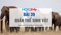 Bài 39: Quần thể sinh vật