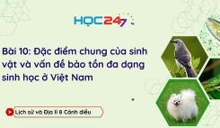 Bài 10: Đặc điểm chung của sinh vật và vấn đề bảo tồn đa dạng sinh học ở Việt Nam