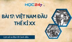 Bài 17: Việt Nam đầu thế kỉ XX