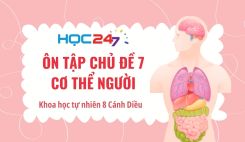 Ôn tập chủ đề 7: Cơ thể người