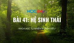 Bài 41: Hệ sinh thái