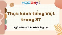 Thực hành tiếng Việt trang 87