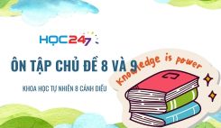 Ôn tập chủ đề 8 và 9