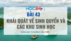 Bài 43. Khái quát về sinh quyển và các khu sinh học