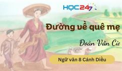 Đường về quê mẹ - Đoàn Văn Cừ