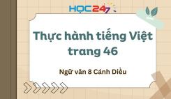 Thực hành tiếng Việt trang 46