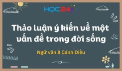 Thảo luận ý kiến về một vấn đề trong đời sống