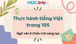 Thực hành tiếng Việt trang 105