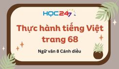 Thực hành tiếng Việt trang 68