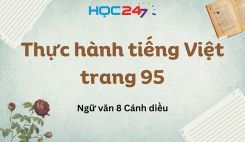 Thực hành tiếng Việt trang 95