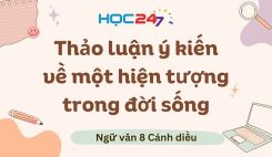 Thảo luận ý kiến về một hiện tượng trong đời sống