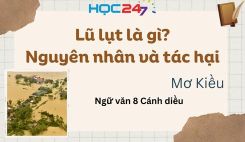 Lũ lụt là gì? Nguyên nhân và tác hại