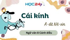 Cái kính - A-dít Nê-xin