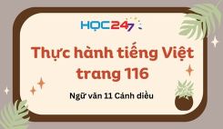 Thực hành tiếng Việt trang 116