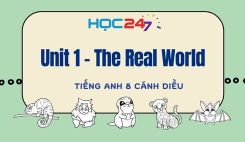 Unit 1 - The Real World