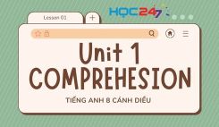 Unit 1 – Comprehension