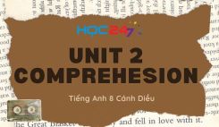 Unit 2 – Comprehension