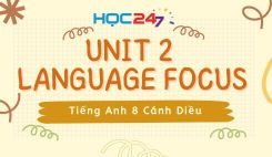 Unit 2 – Language Focus