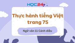Thực hành tiếng Việt trang 75