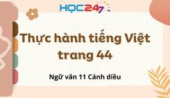 Thực hành tiếng Việt trang 44
