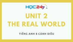 Unit 2 – The Real World