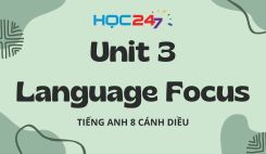 Unit 3 – Language Focus